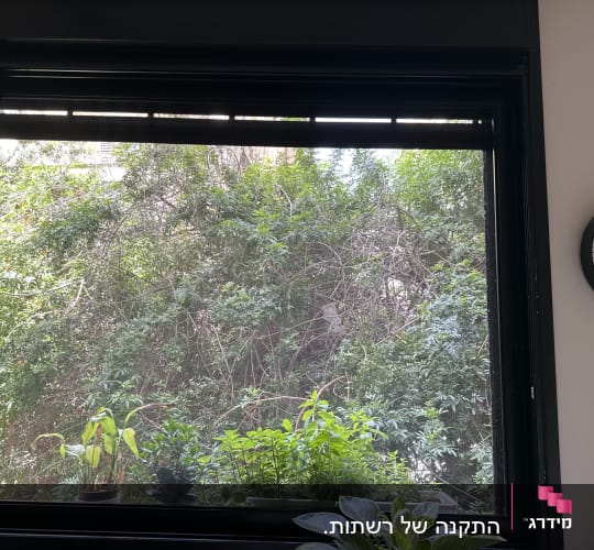 מסגרת חלון אלומיניום עם צמחים על אדן החלון